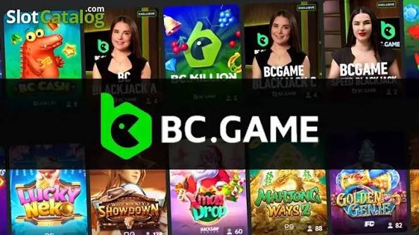 Understanding the BC Game Privacy Policy Your Guide to Security and Data Protection